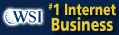 internet consultant franchise