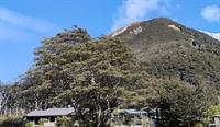 arthur s pass alpine - 2