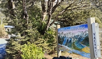 arthur s pass alpine - 1