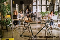 established coworking master license - 1
