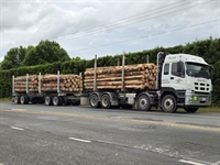 log transport company new - 3