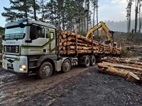 log transport company new - 2