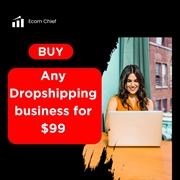 work from home dropshipping - 1