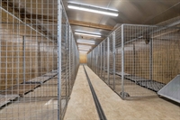 kennels cattery more - 3