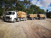 log transport company new - 1