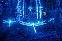 premium turnkey immersive light - 3