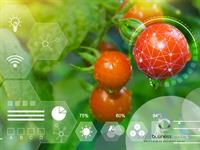 global food safety saas - 1