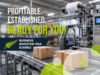business investor visa eligible - 1