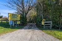 kennels cattery more - 1