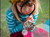 profitable distinctive ece centre