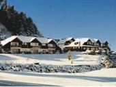 tourism business sale mt