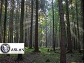 land for sale new